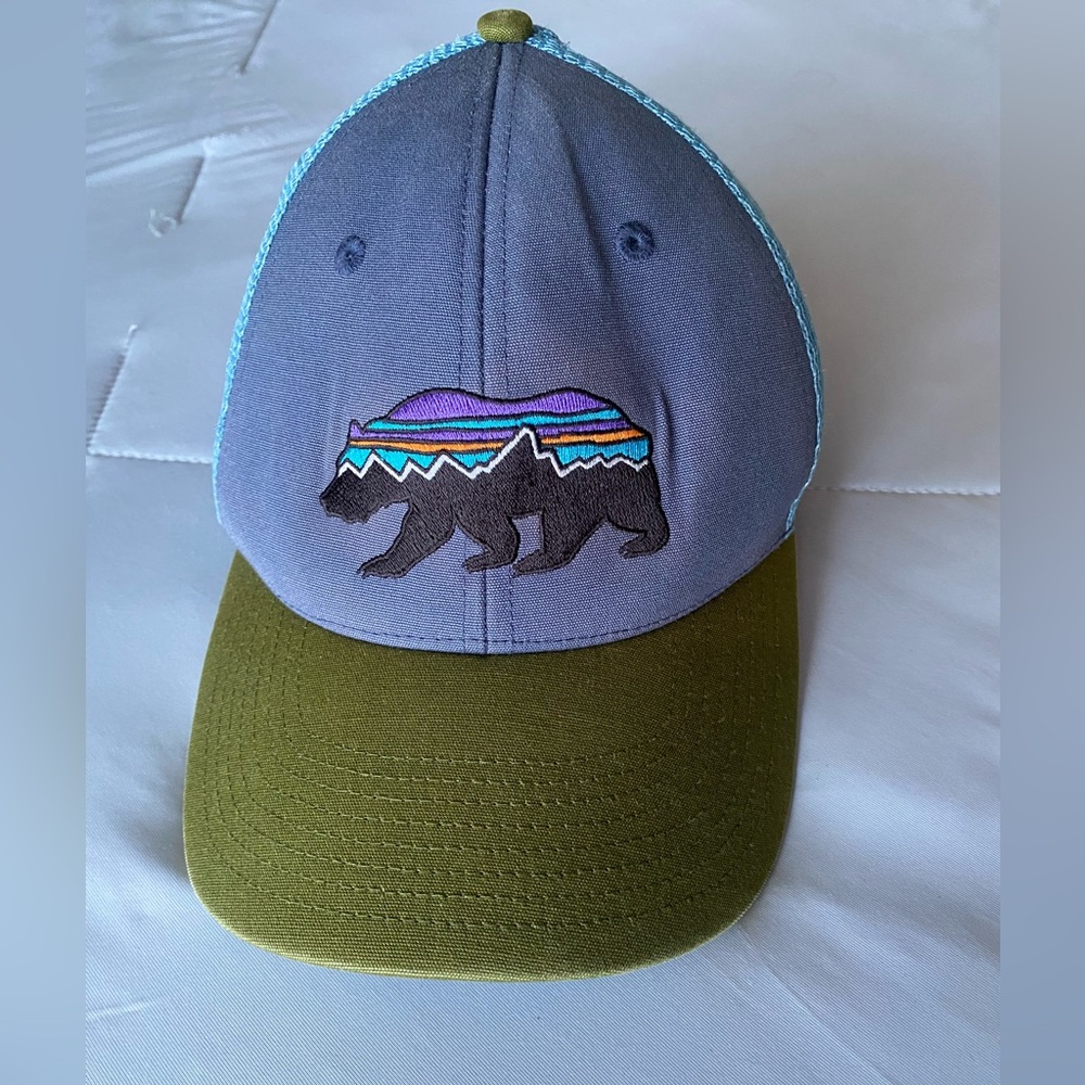 Patagonia Snapback Blue & Green Baseball Hat